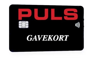 GAVEKORT (SOM MODTAGES PÅ MAIL)